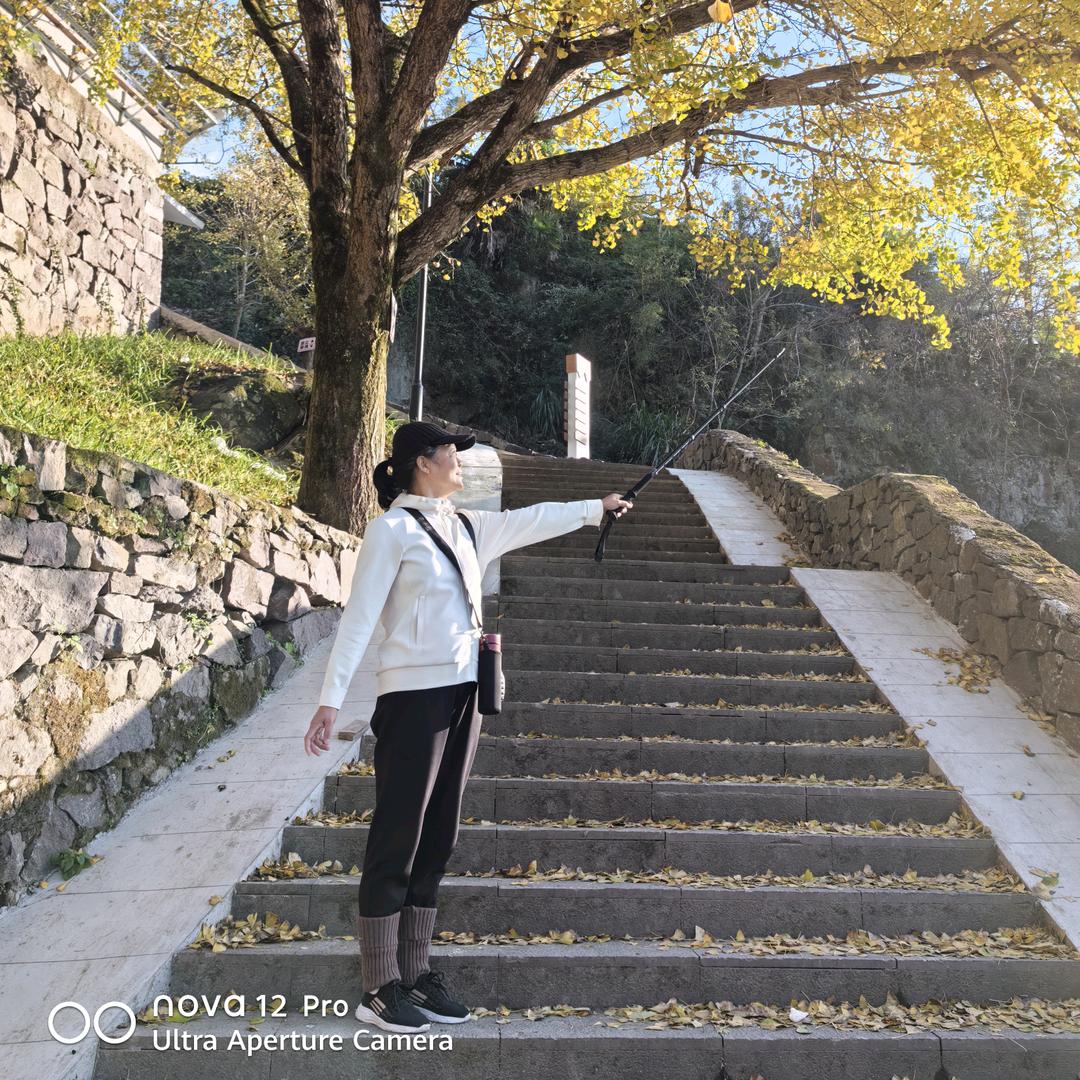 临海丹枫苑房产