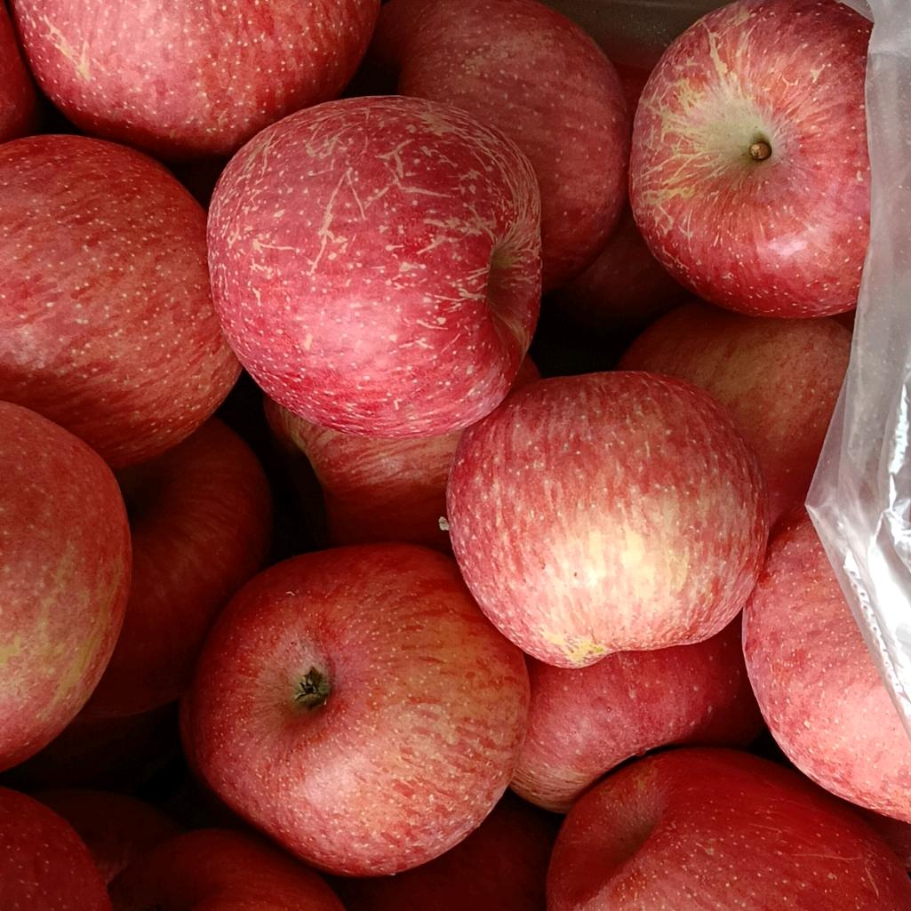 上帝吃过的苹果