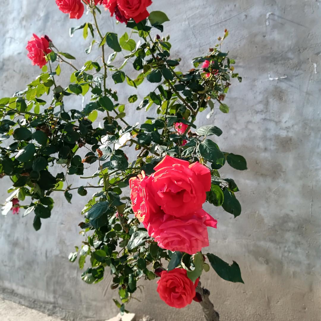 忘掉过去，珍惜自己