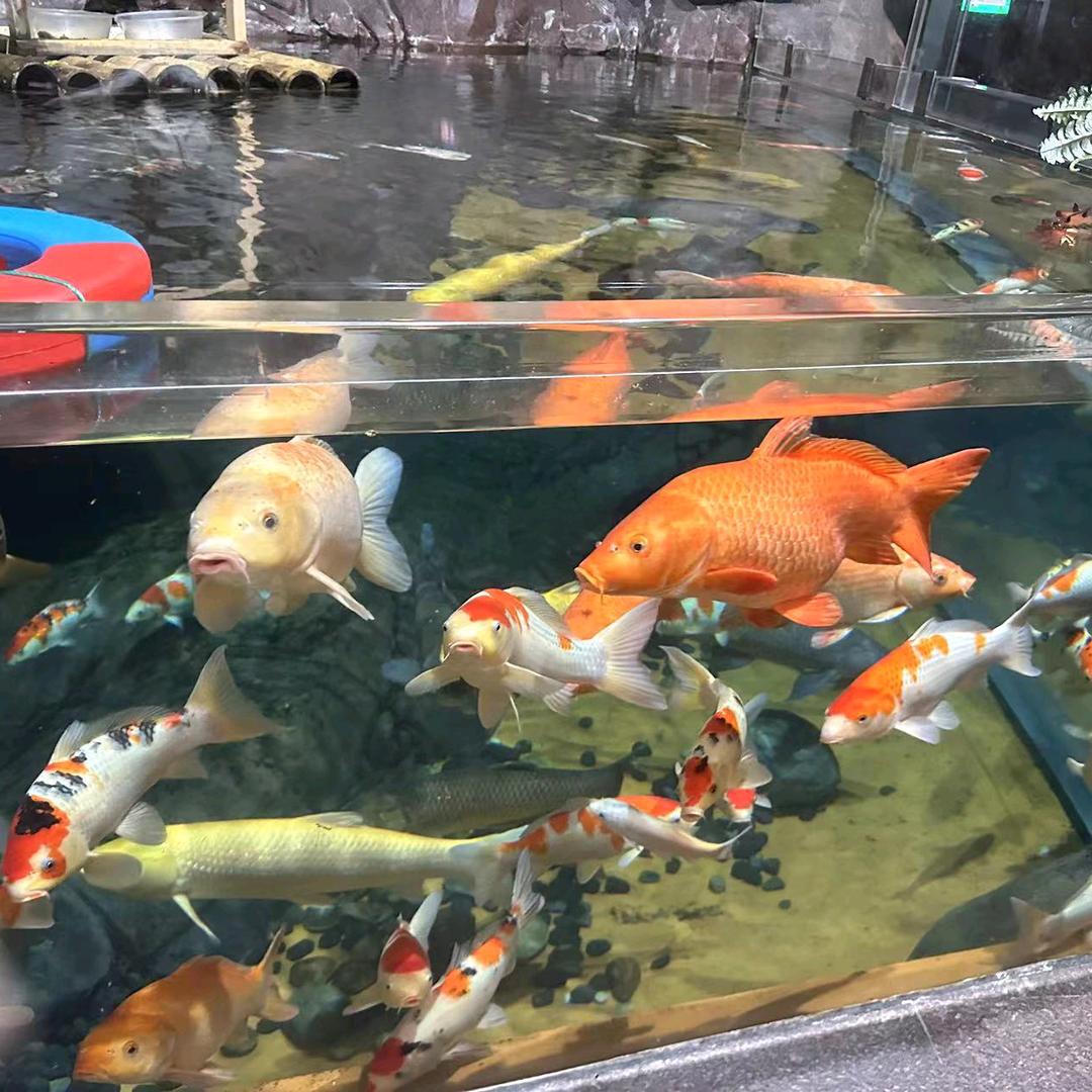 永恒的思念…