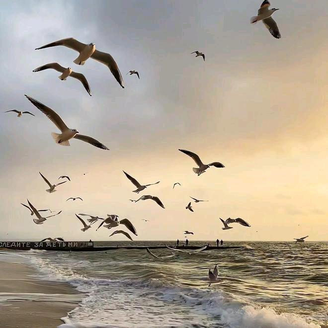 首奥生活超市(印象台湖店)首奥生活三直播号