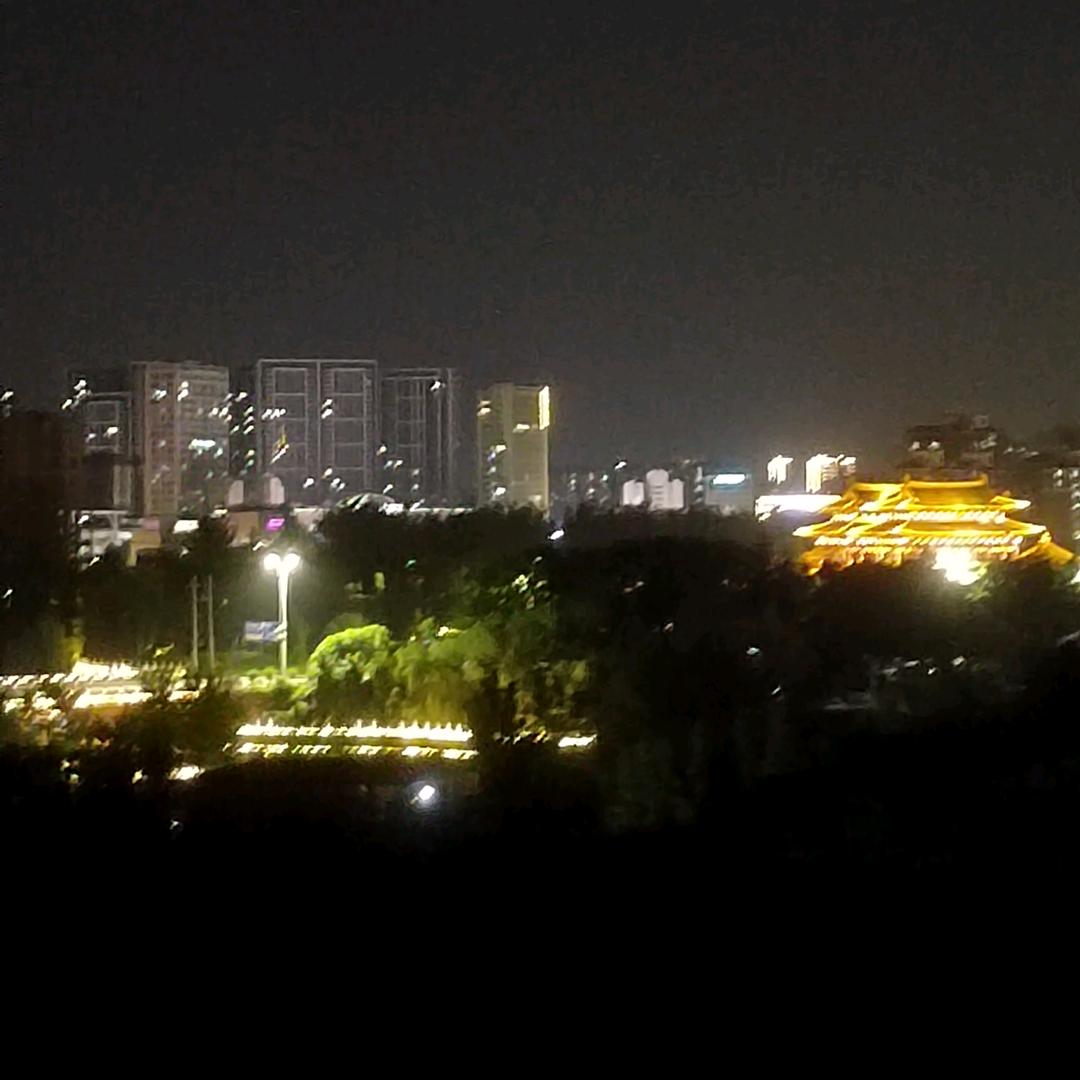 孤独的常态