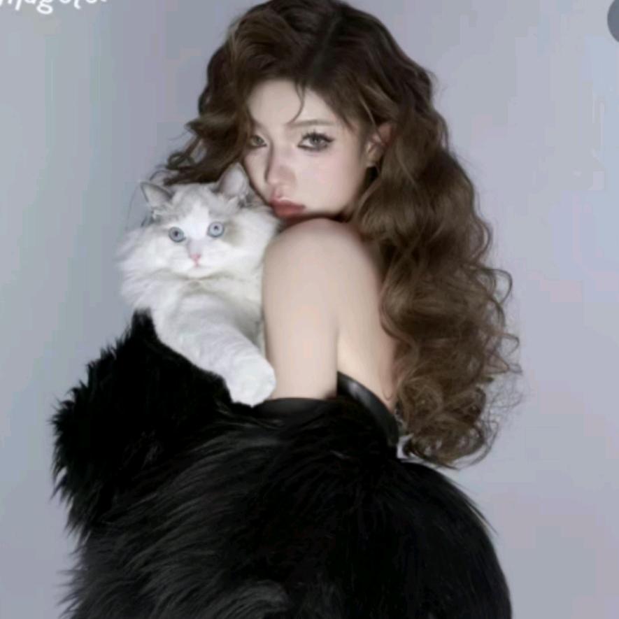 天赐恩宠萌系灰泰迪