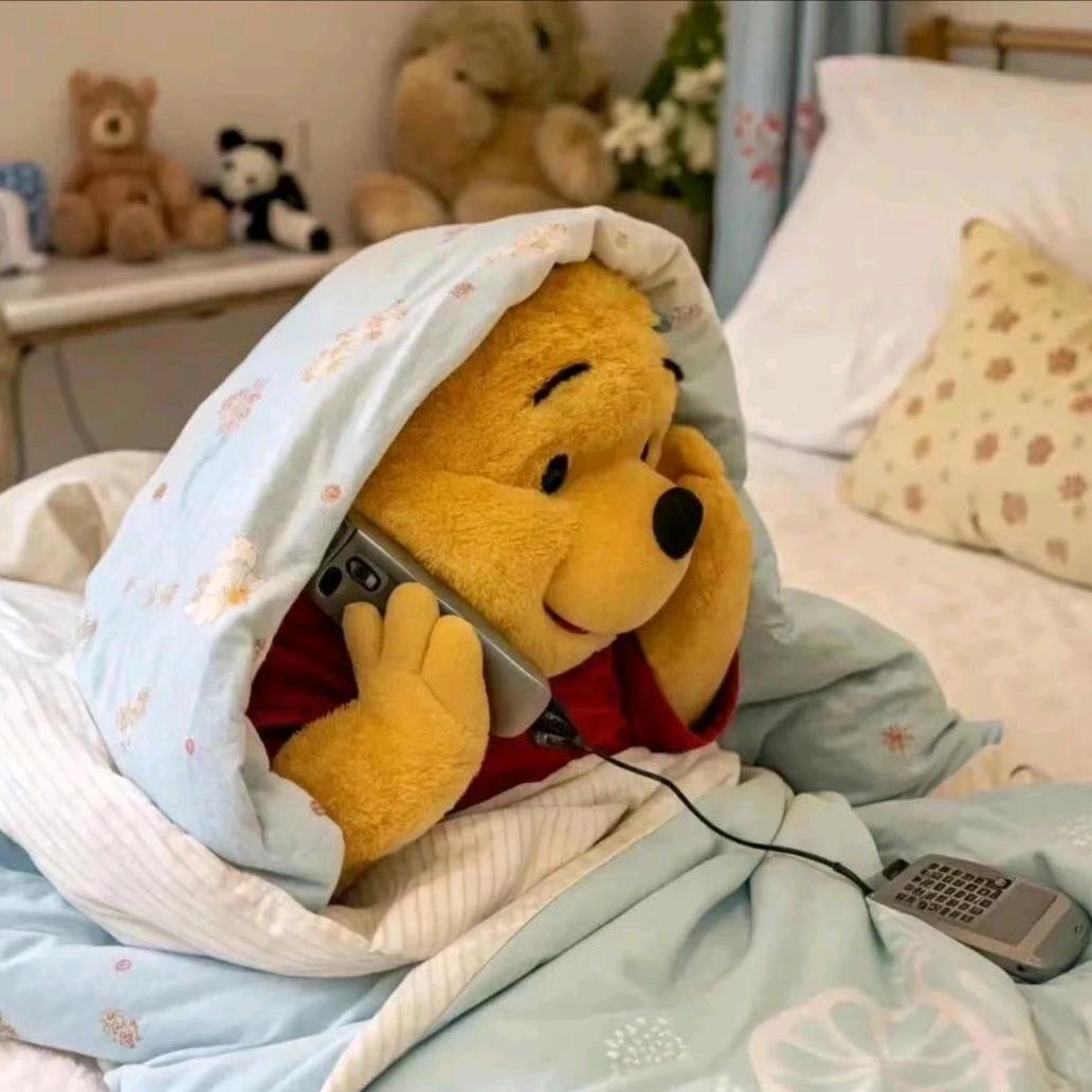 禾纾婉🍂🐑🐑