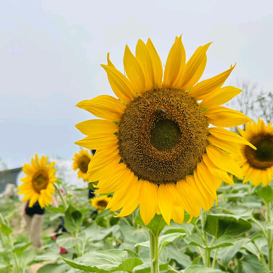 王姐的幸福小家园◇