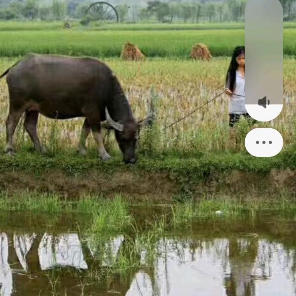 微笑一家平安是福