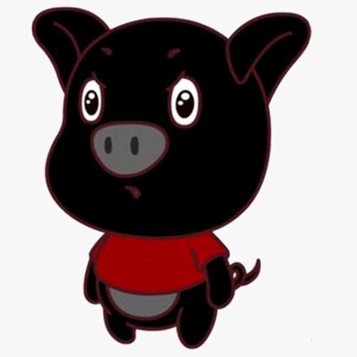 合肥专业黑猪-小康