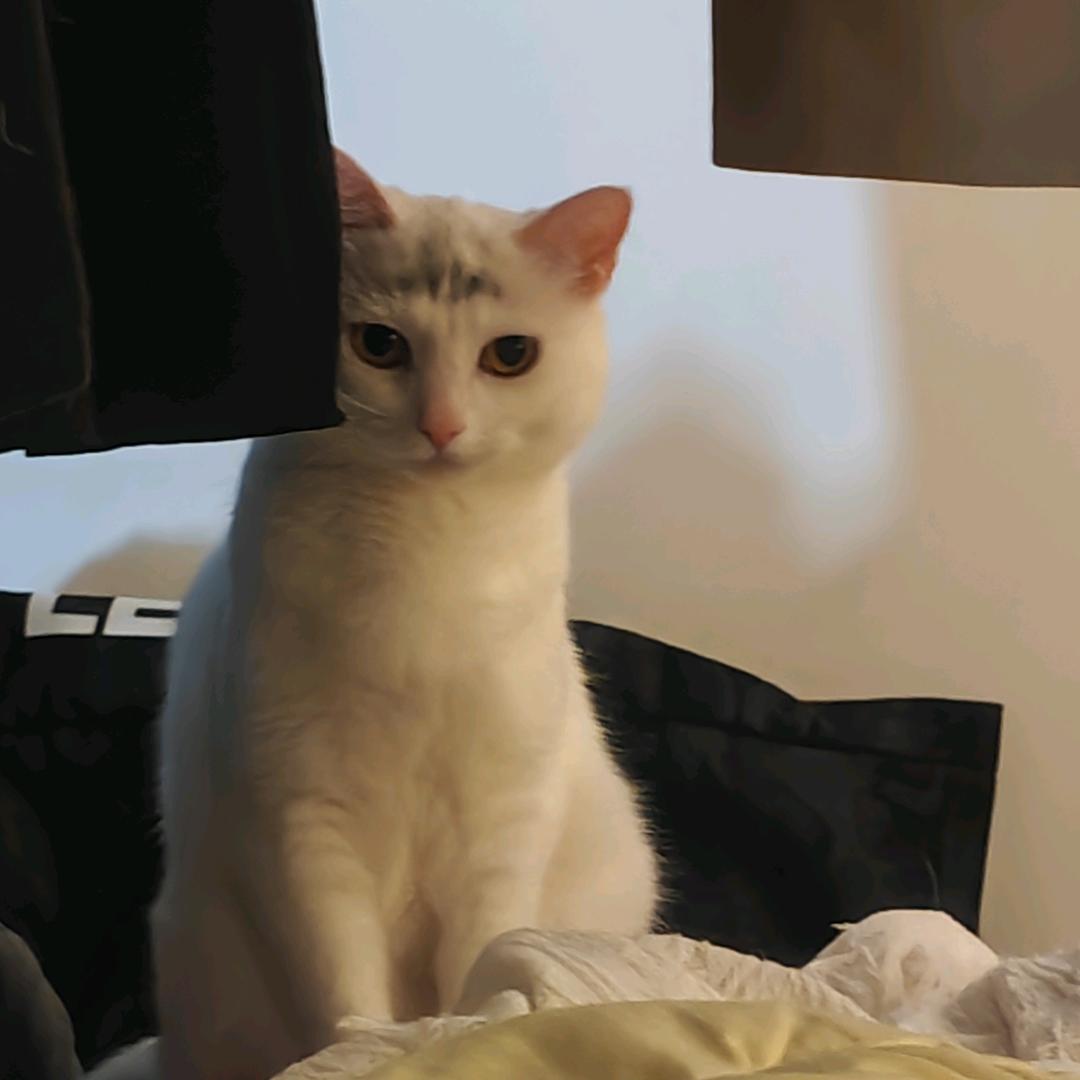 对方正在刷剧......