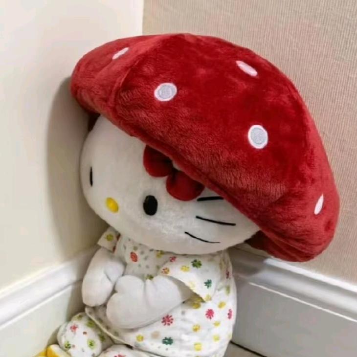 章鱼小丸子𓎩𓌉𓇋