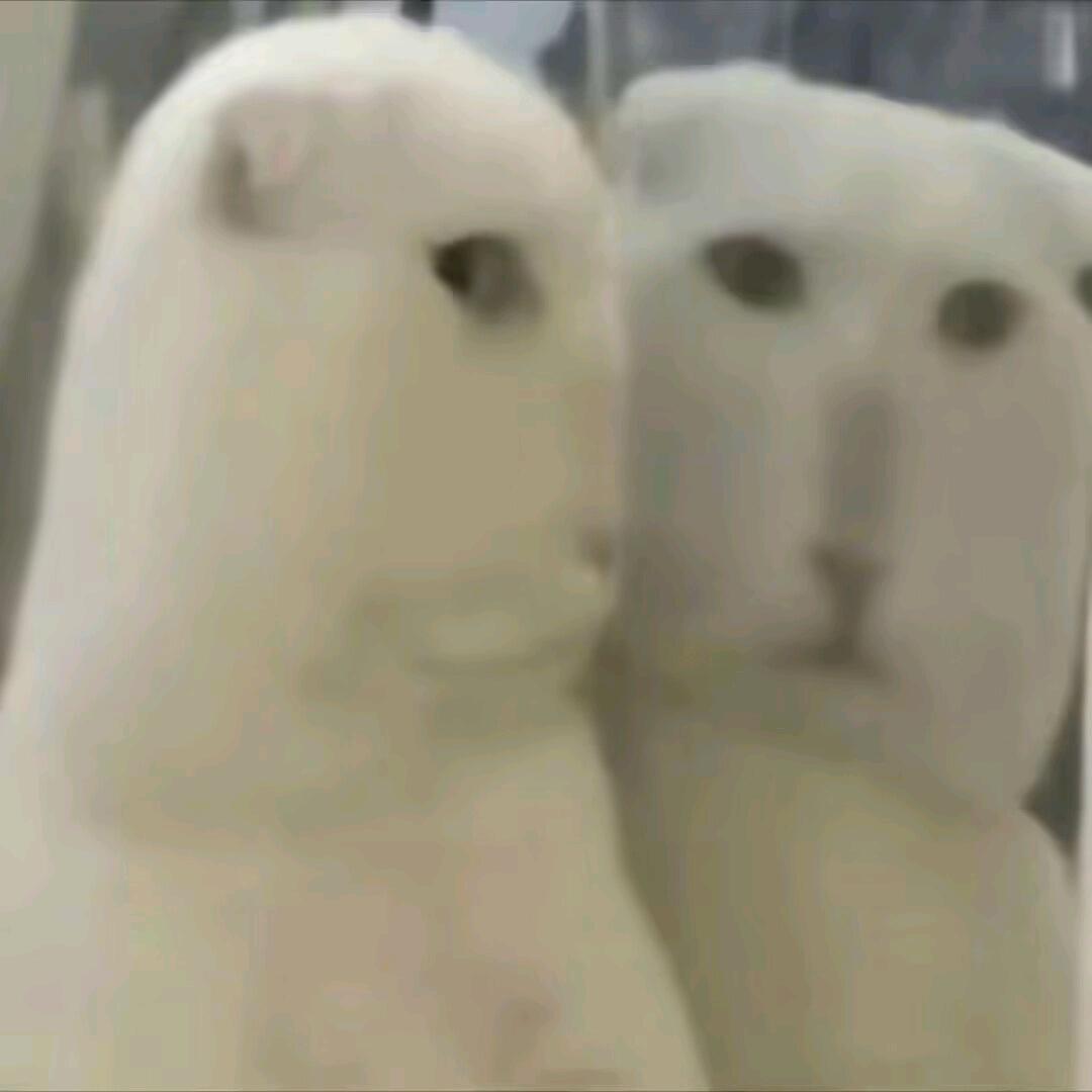 风轻