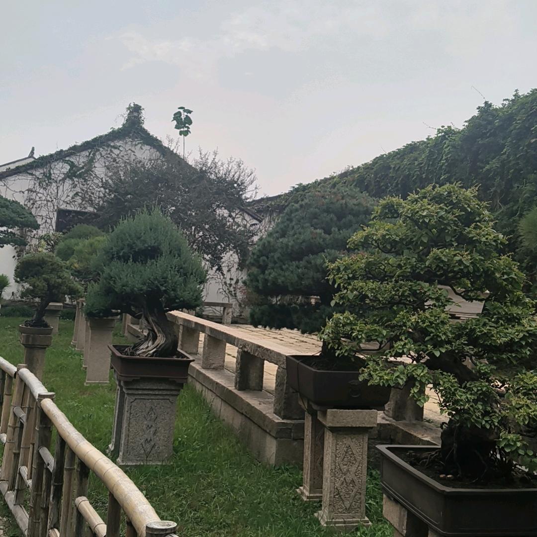 江南水乡
