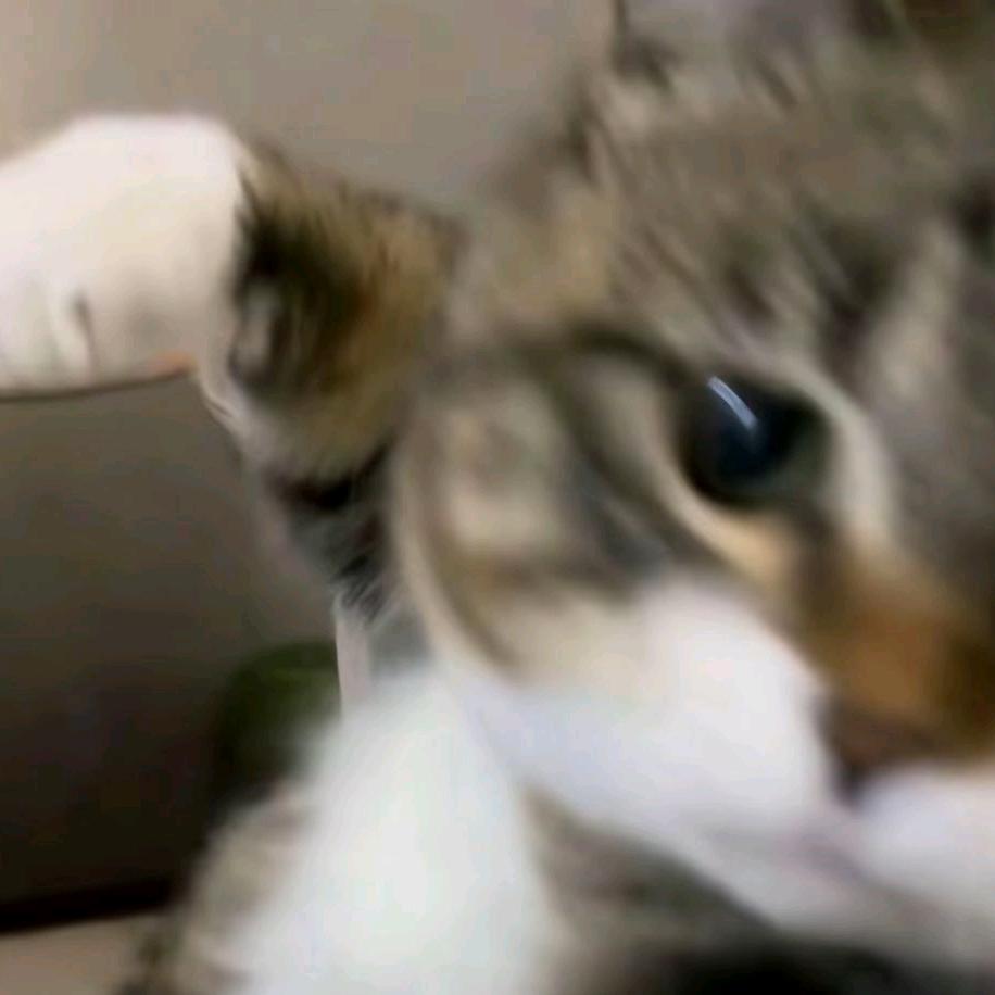 被你老公从床底下拽出来才明白爱是藏不住的