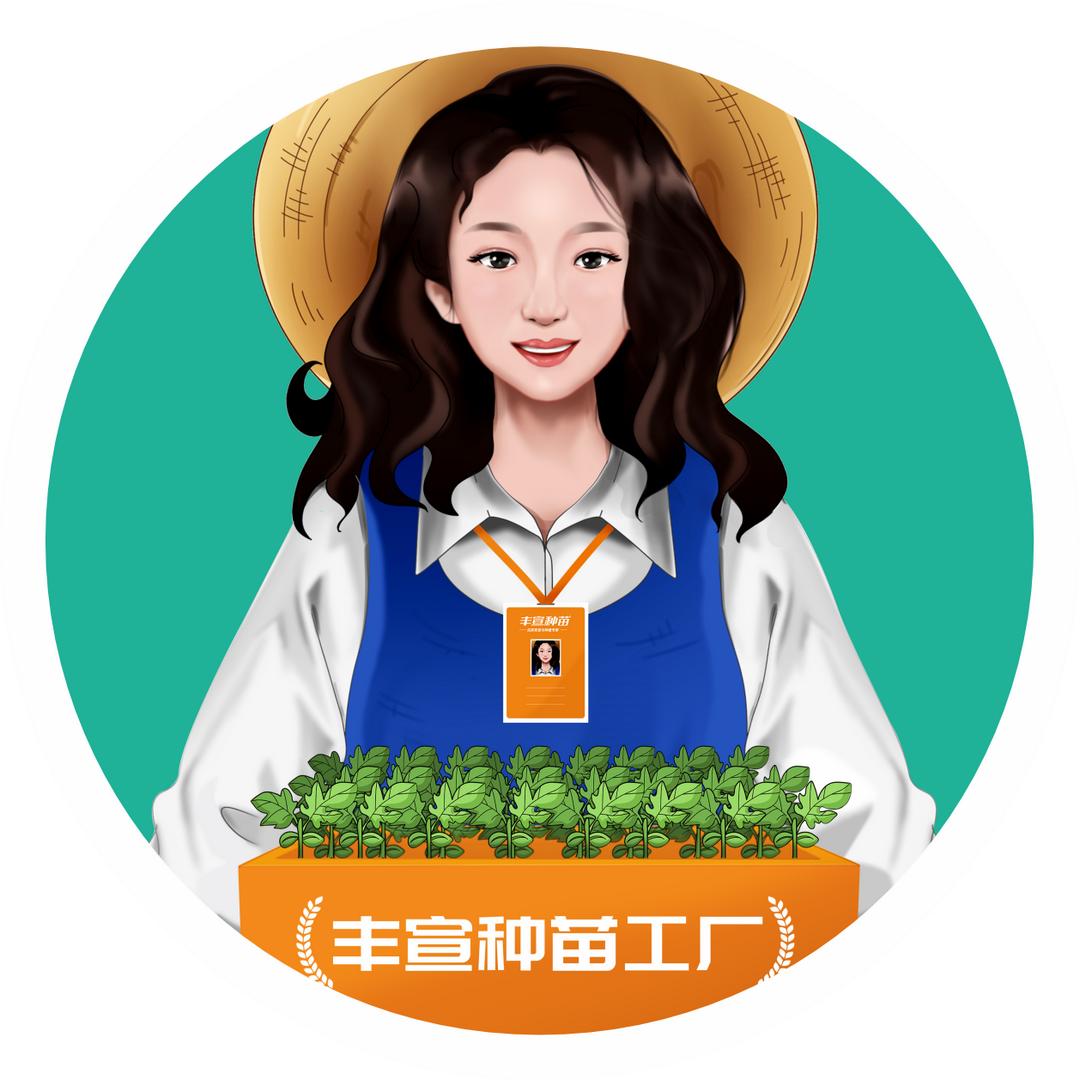 丰宣种苗 王思妮