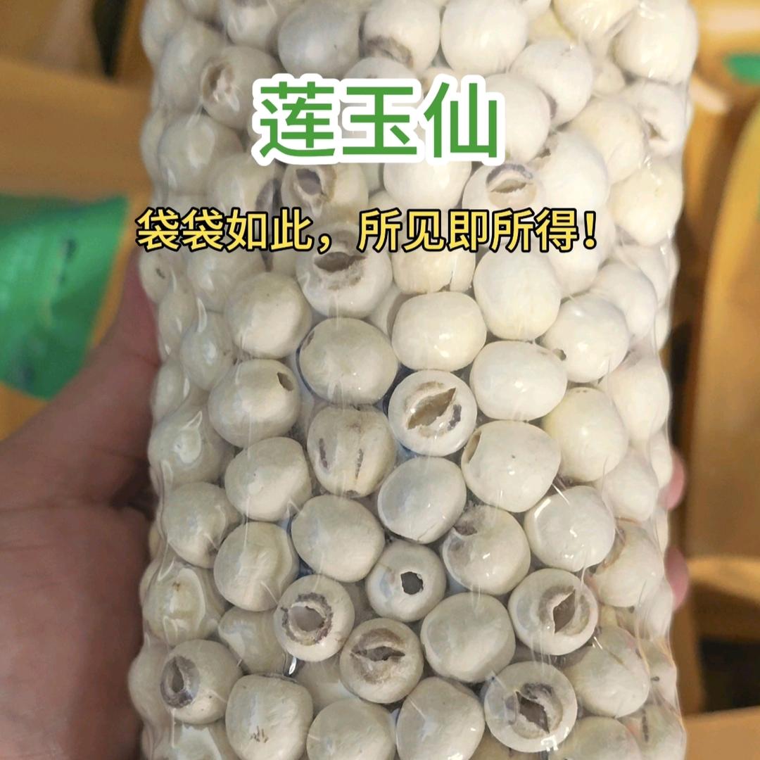 莲玉仙（专注高品质湘莲13年）