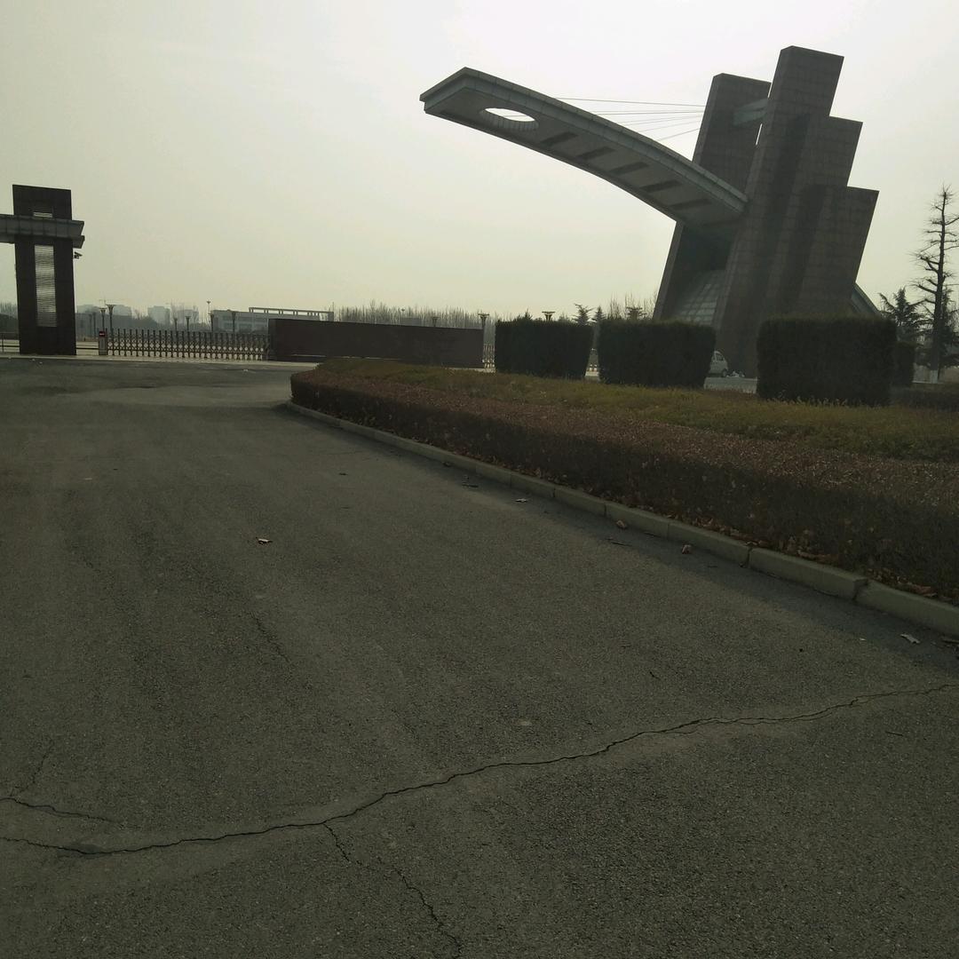 随阳而活，(谢谢关注)