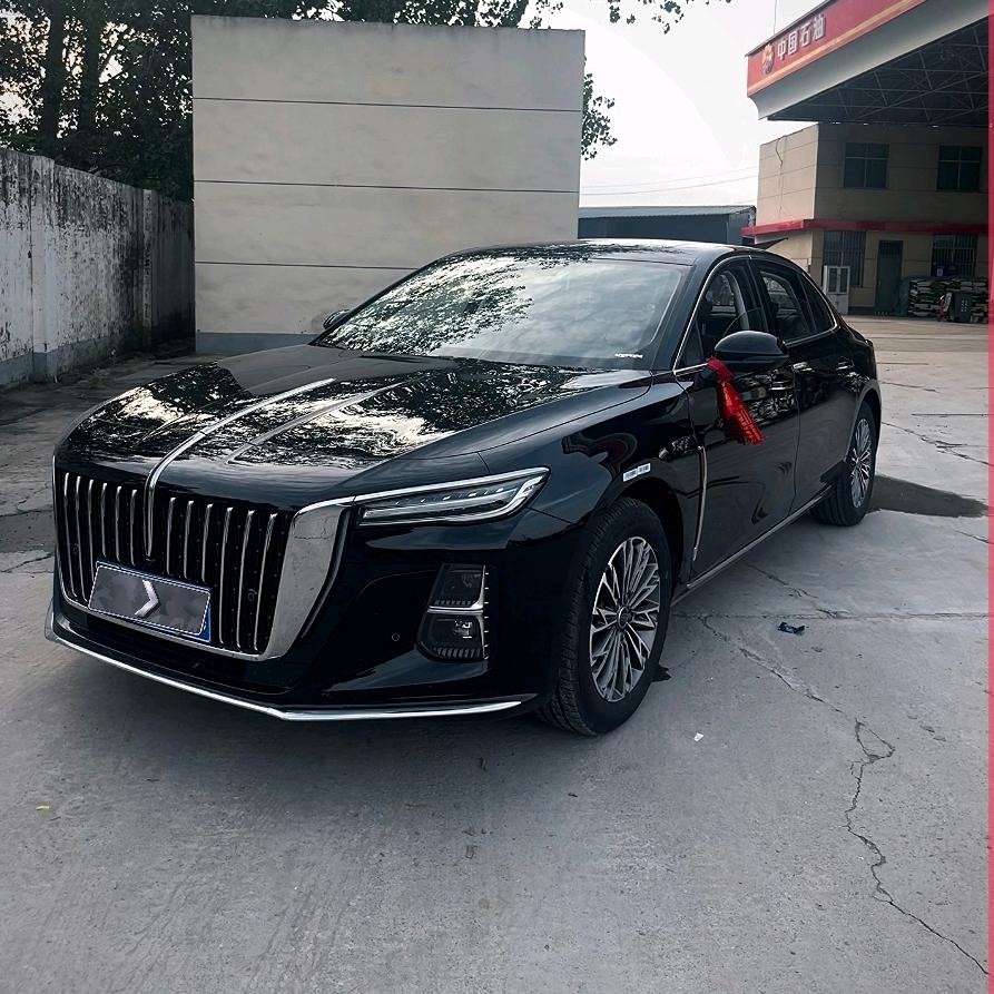 开红旗的小仙女