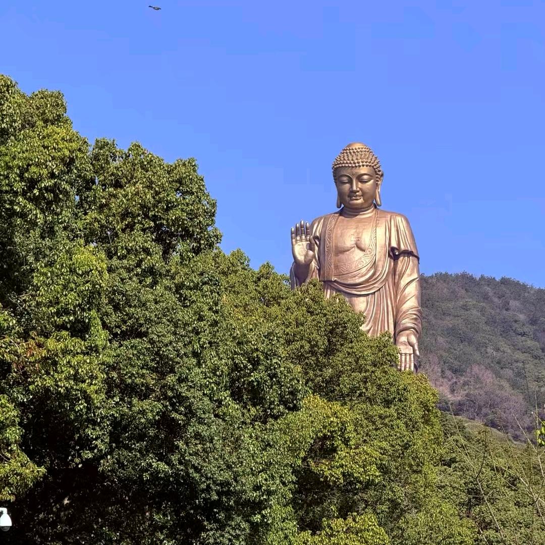 腼腆多金
