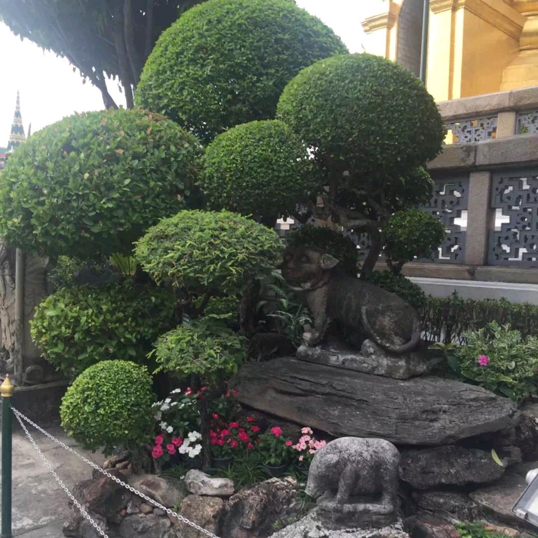 秀一爱