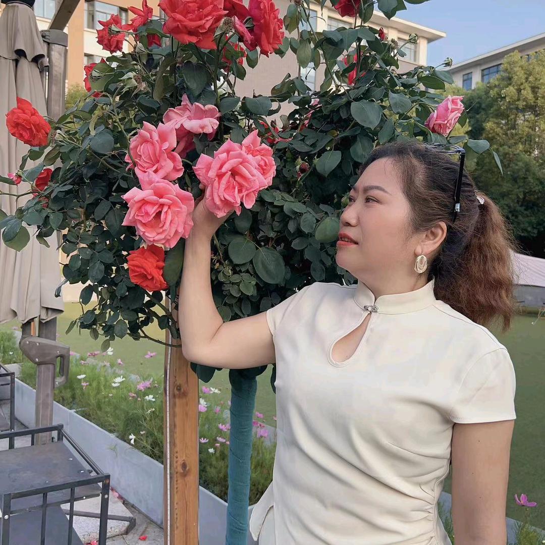 红姐《首播筹备中》