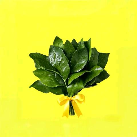 随欣小茶锚🥛🍵🥤🍷