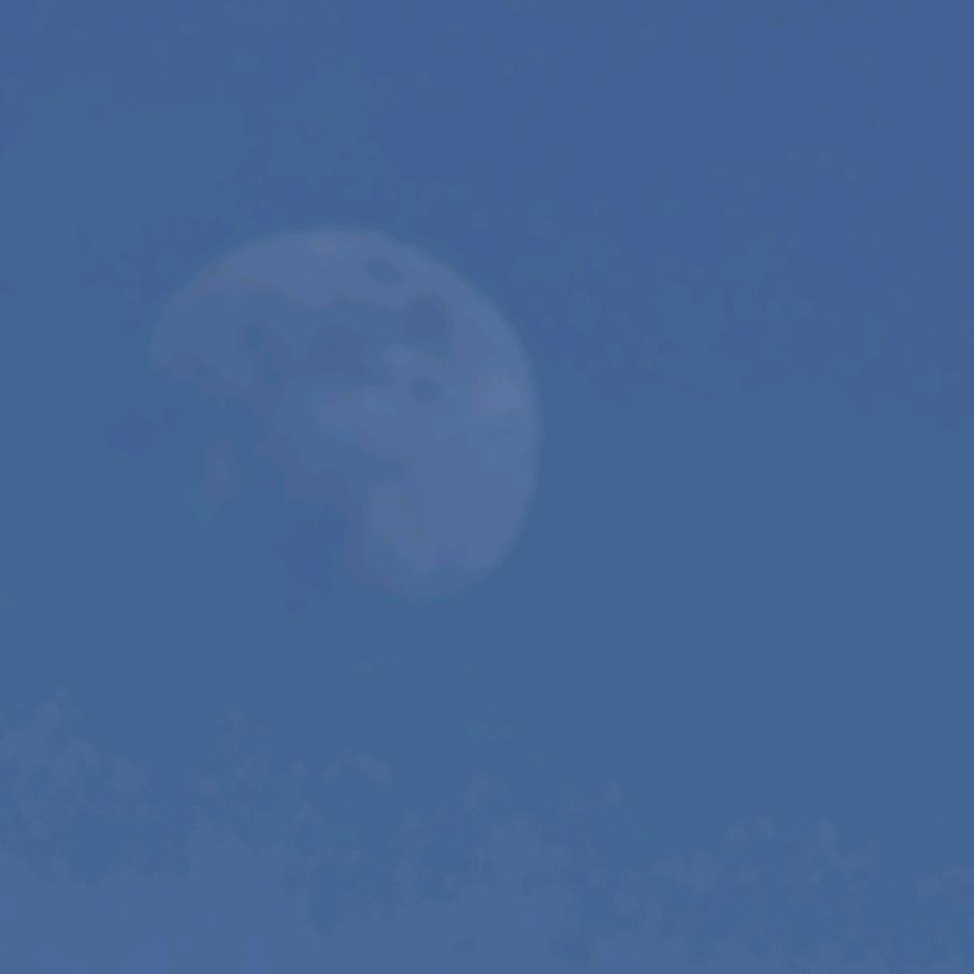 佔侑