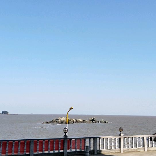红豆