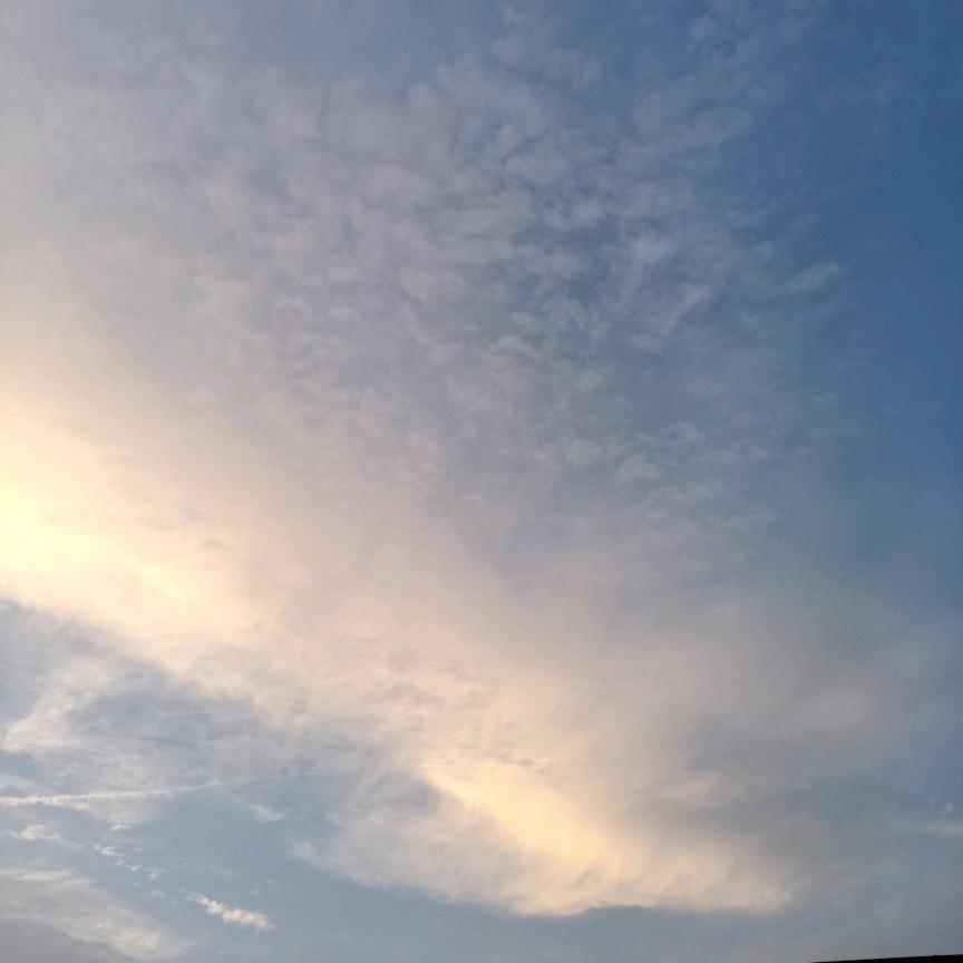 ☞黑蝙蝠中队☜