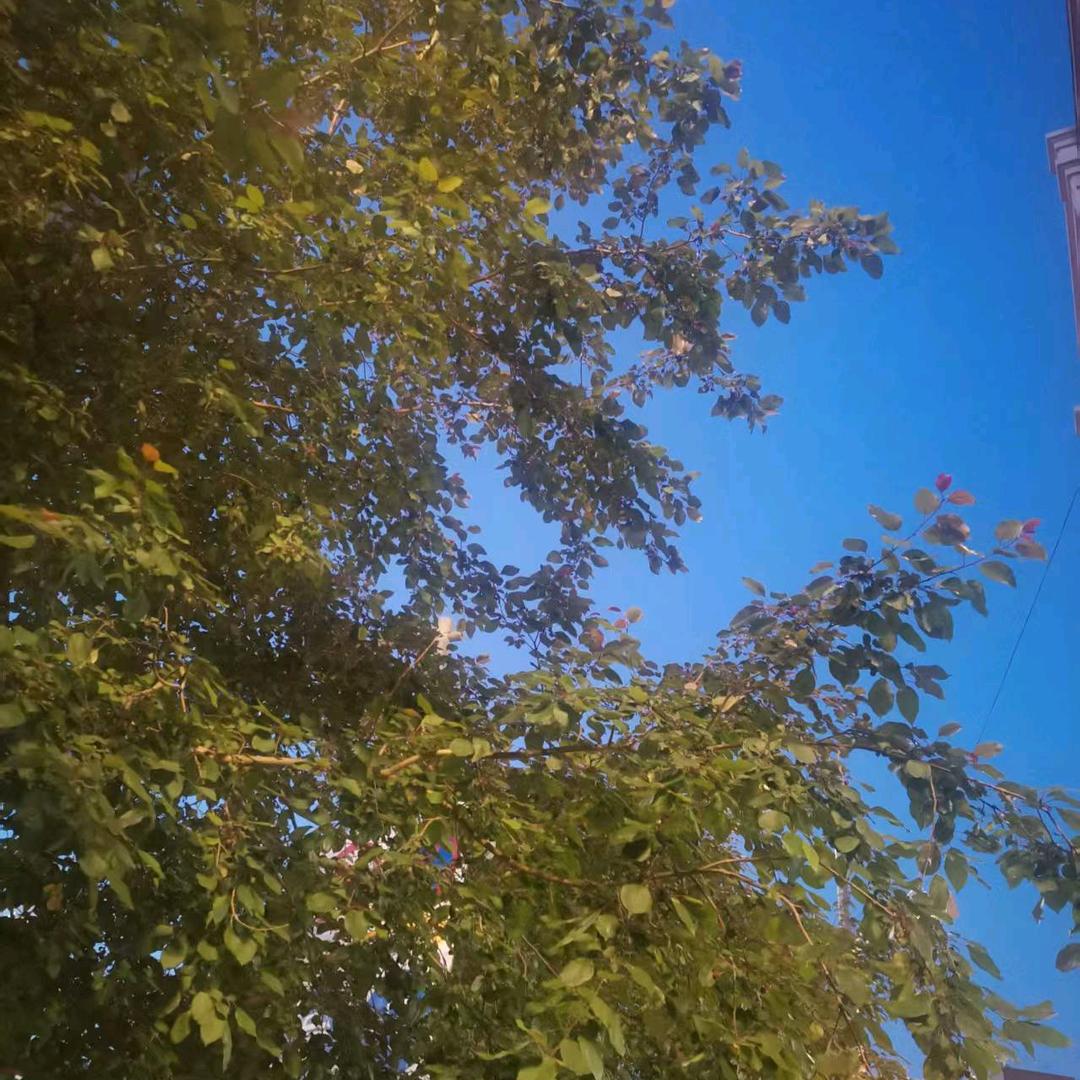 向钱奔跑