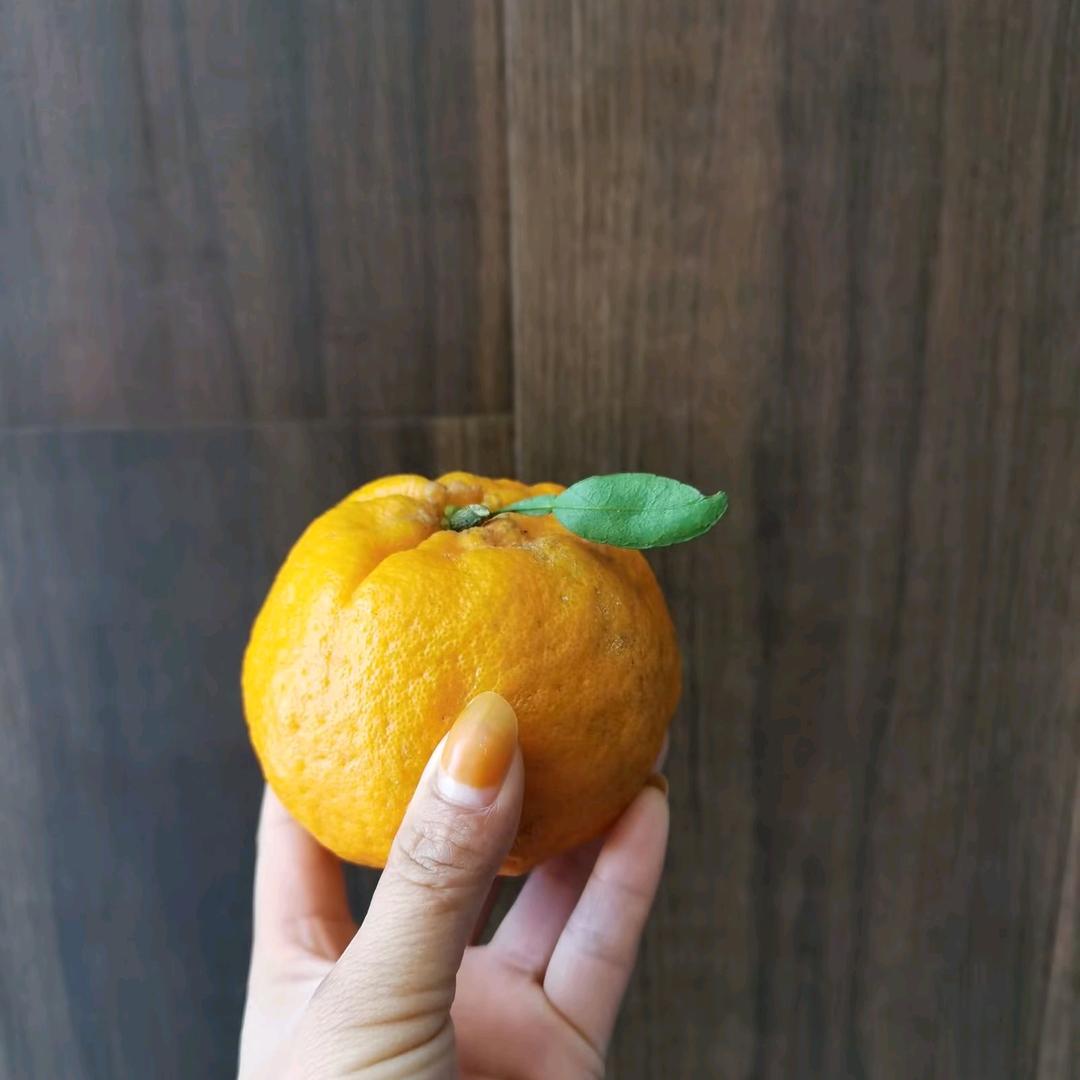 ꧁扬子呀℘᭄ᩚ꯭ᩚ