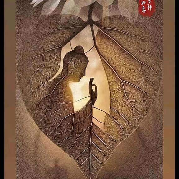 葵花向阳