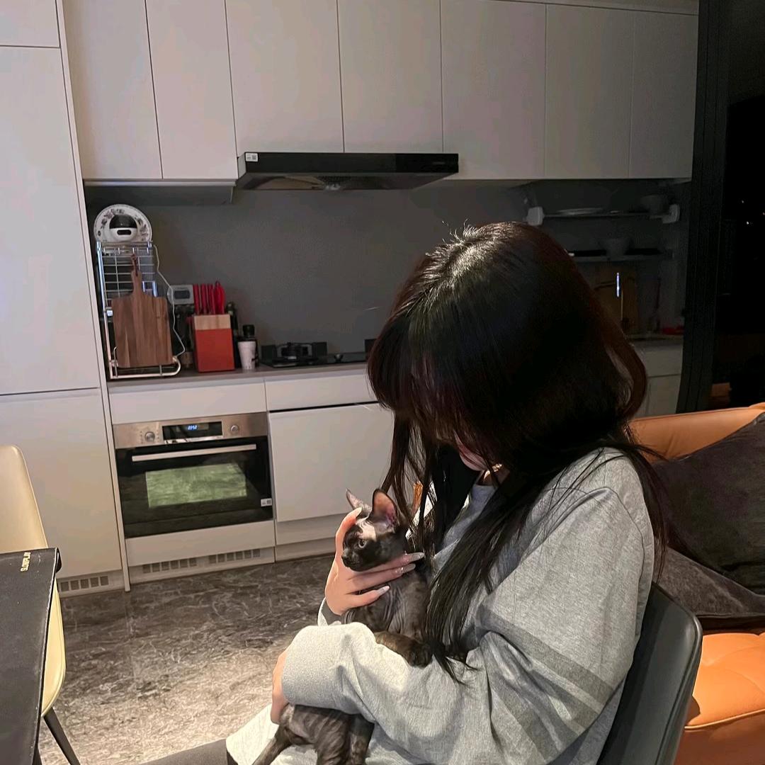 🍀小小梦✨🍀