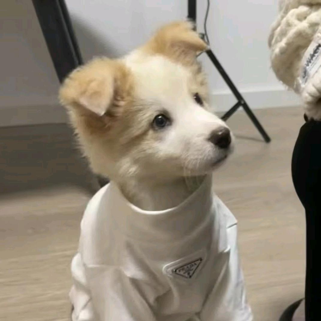 我叫李美丽