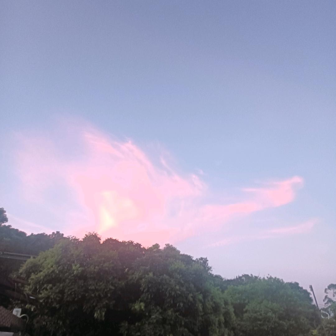星月