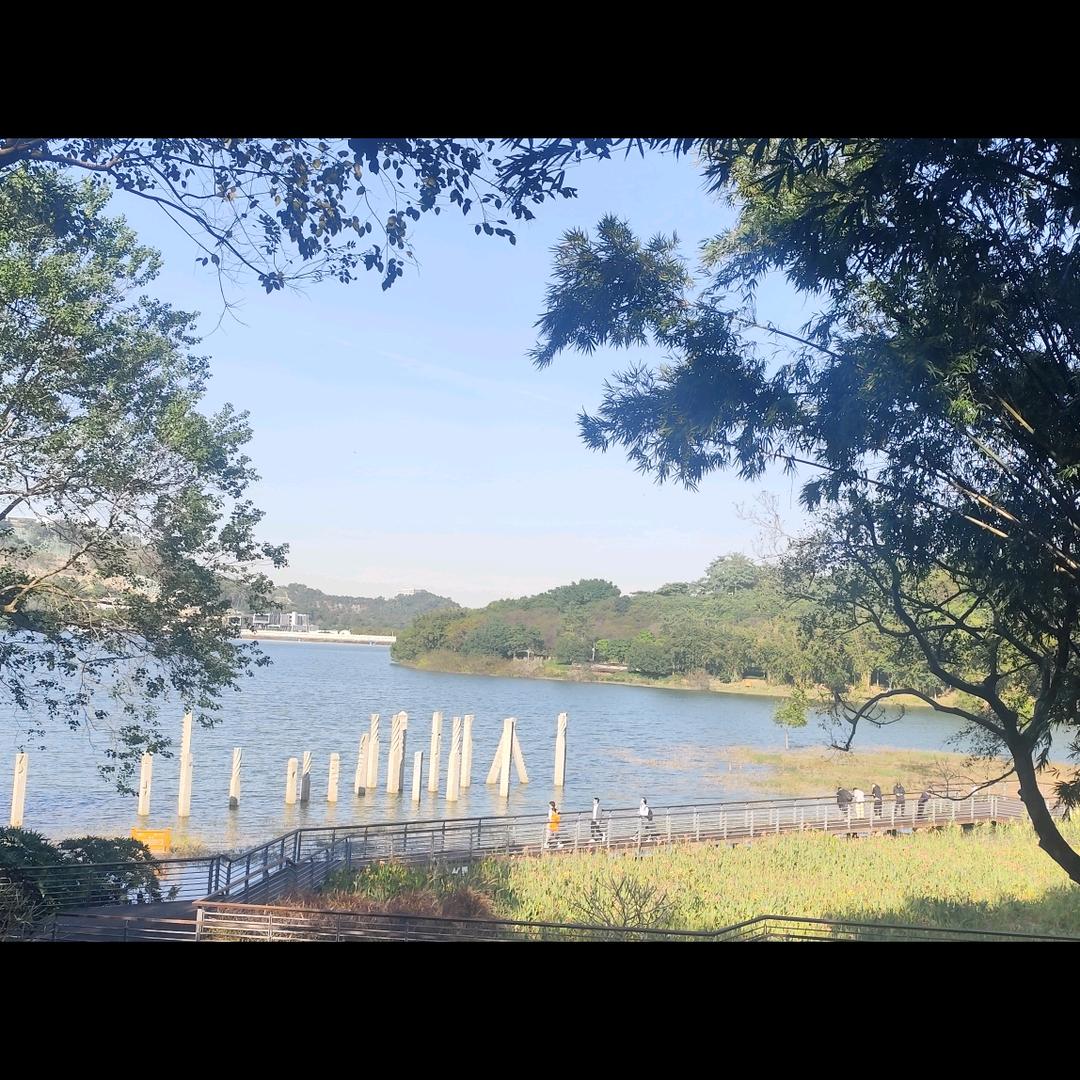 水球🌊