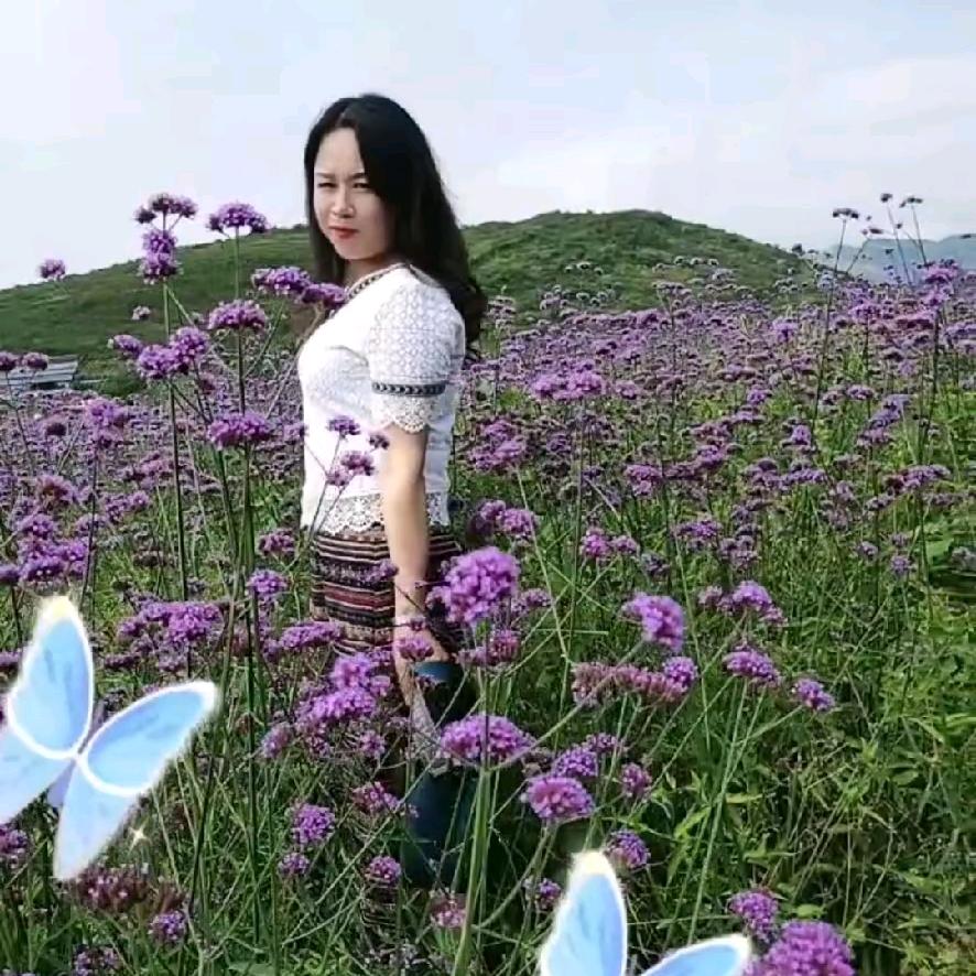 ，小鸟依人