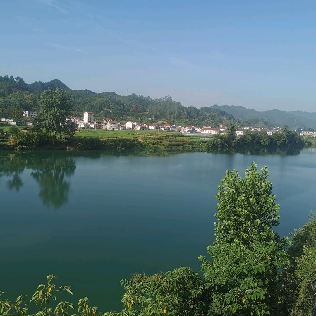 陆水河畔