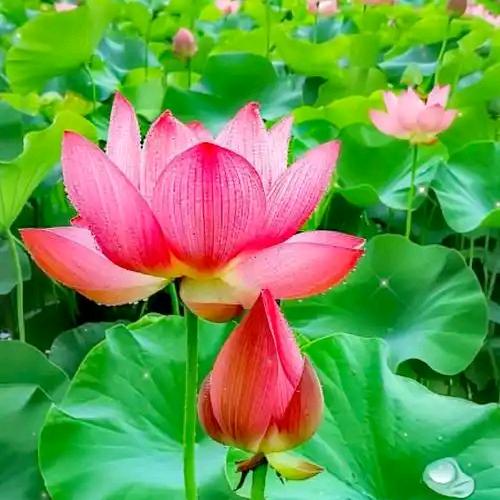 慧空随心