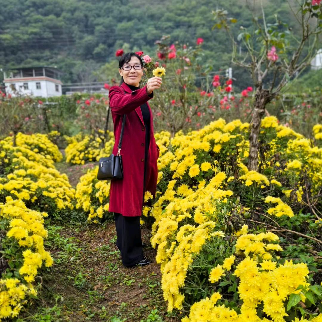 美好姓胡