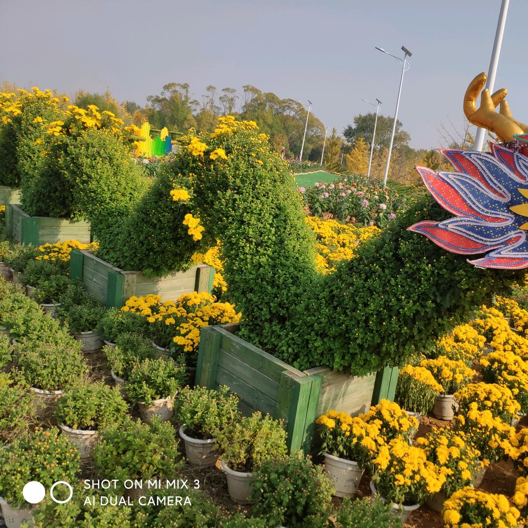 顺风卷帘门电动门厂