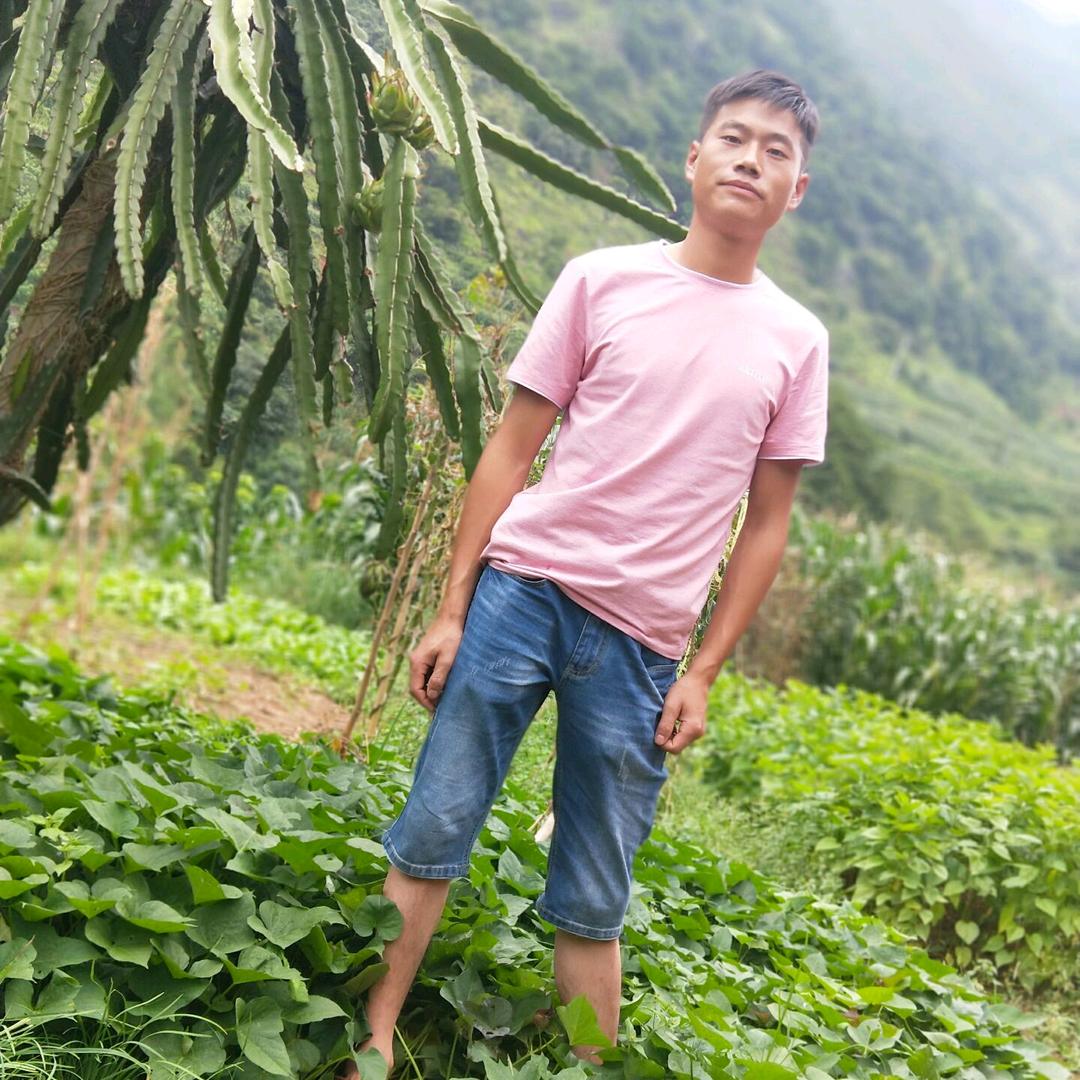 只影