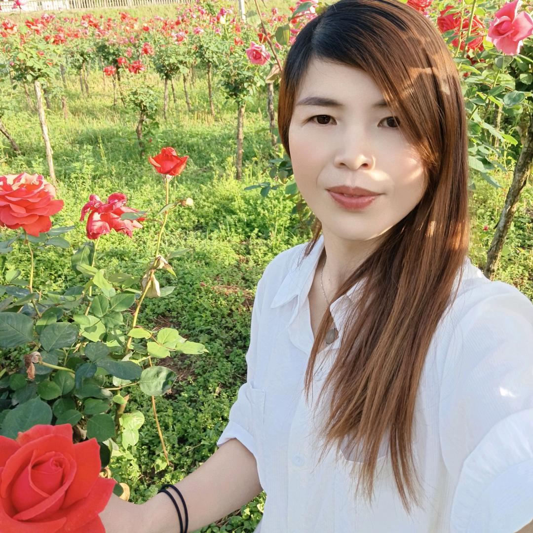 种茶妹妹《燕子》