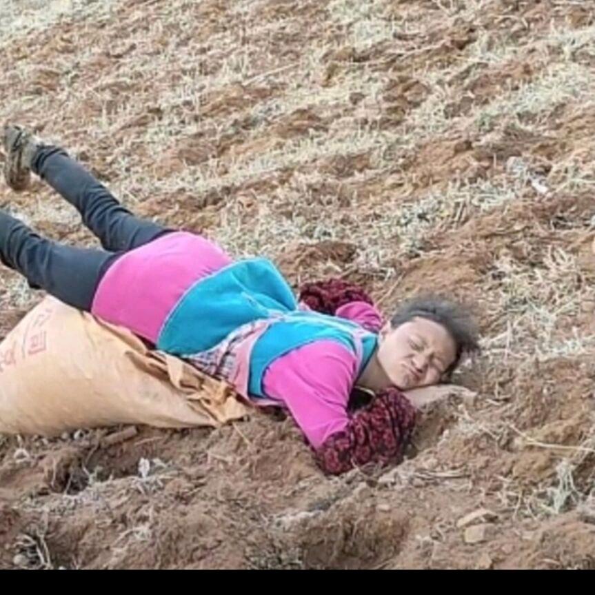 哈哈哈哈哈哈哈