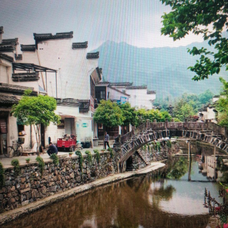 梦伽兰兰