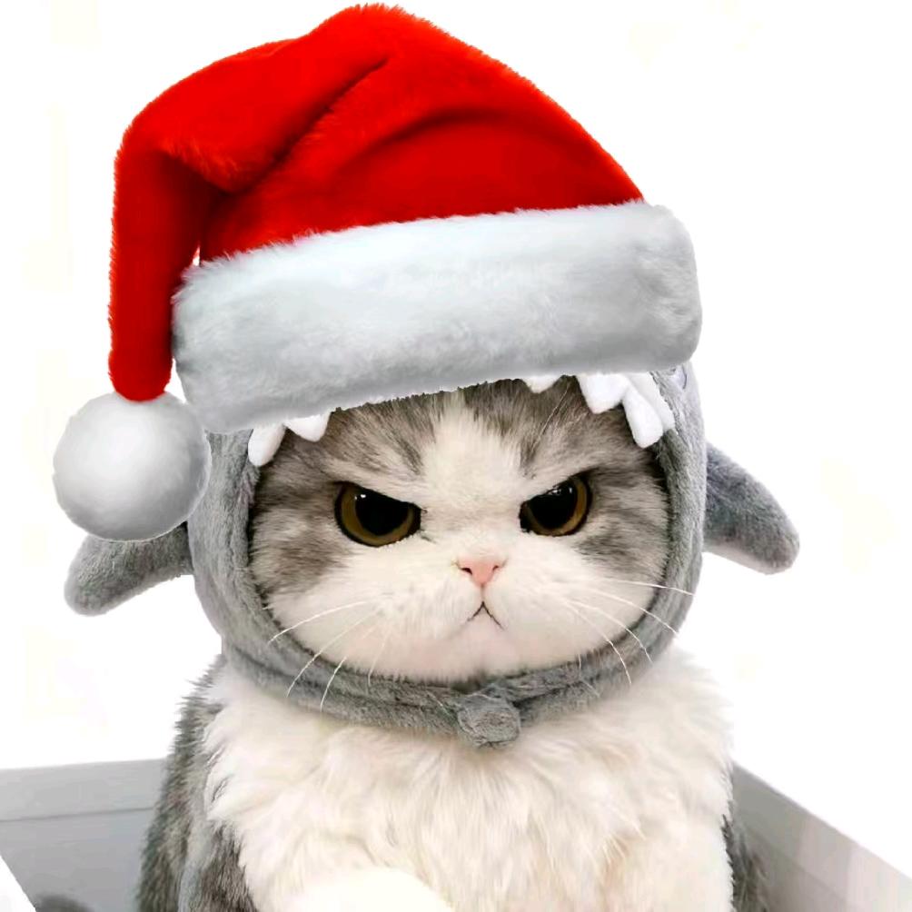 다신 사랑하지 않아