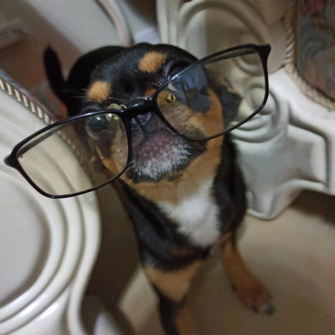 晓凯