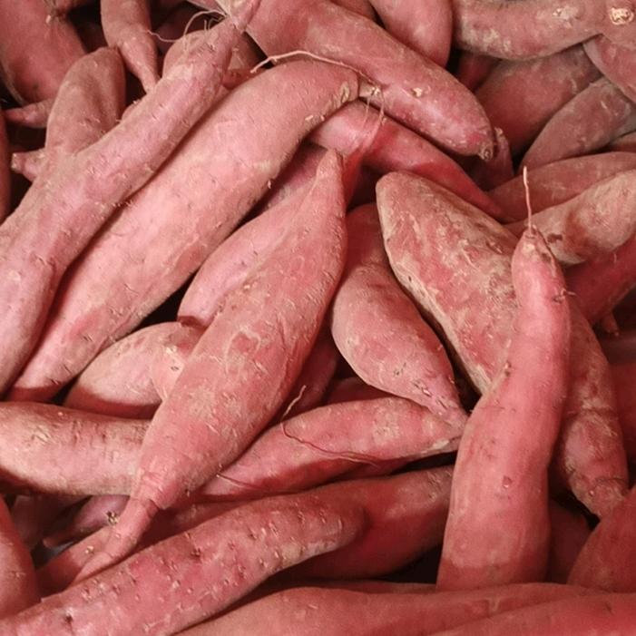 （拼博）时来运转