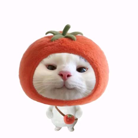 拙言