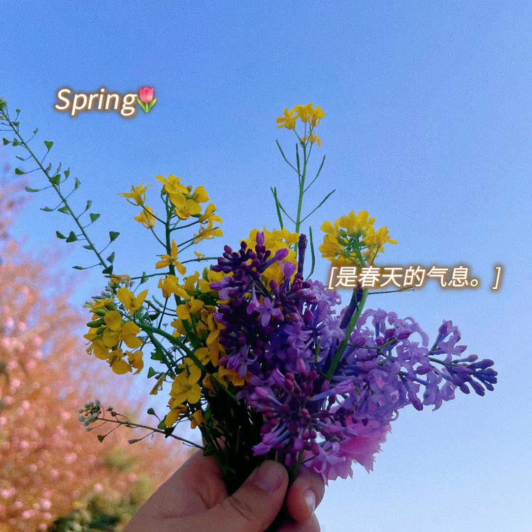 爱生活的小花