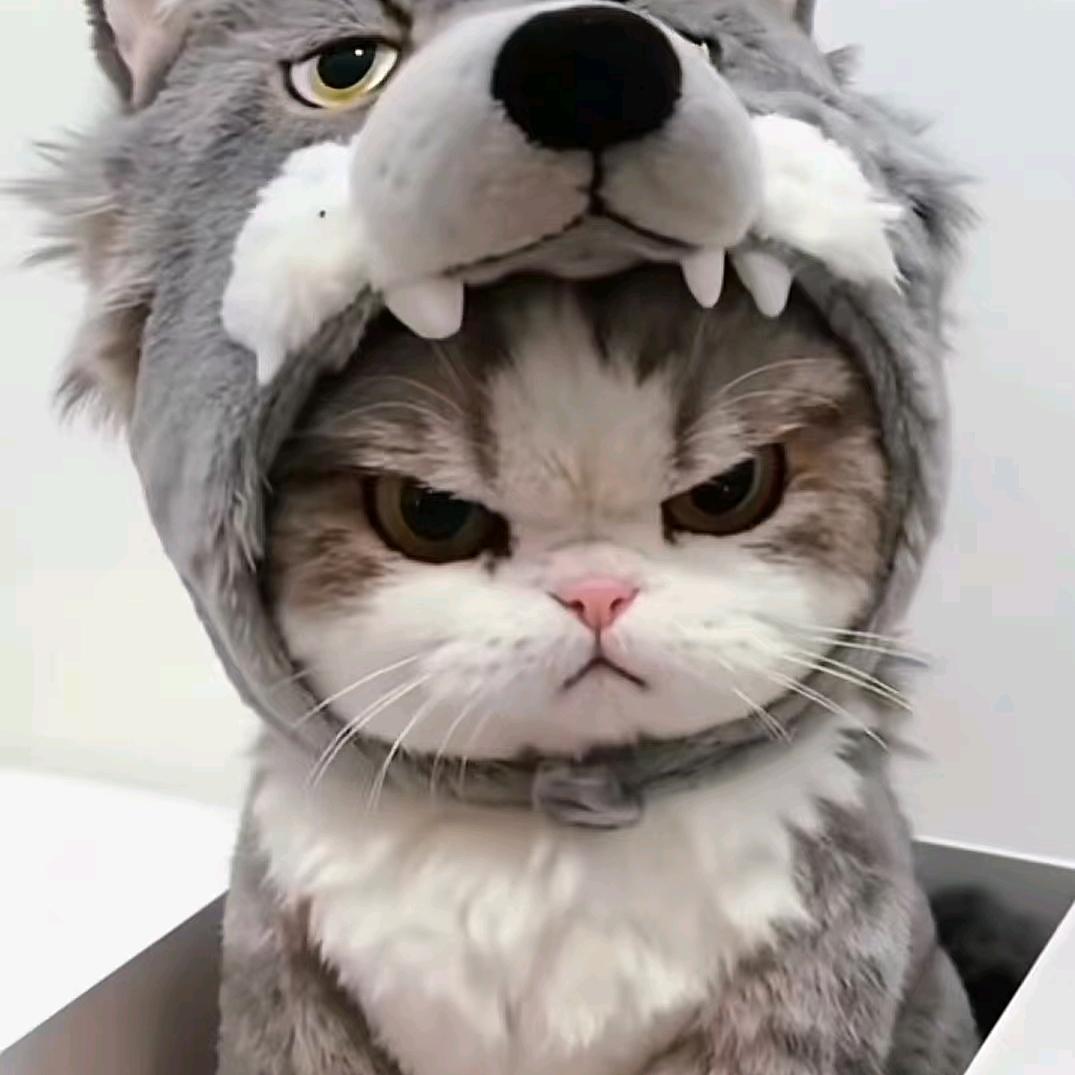 戮默