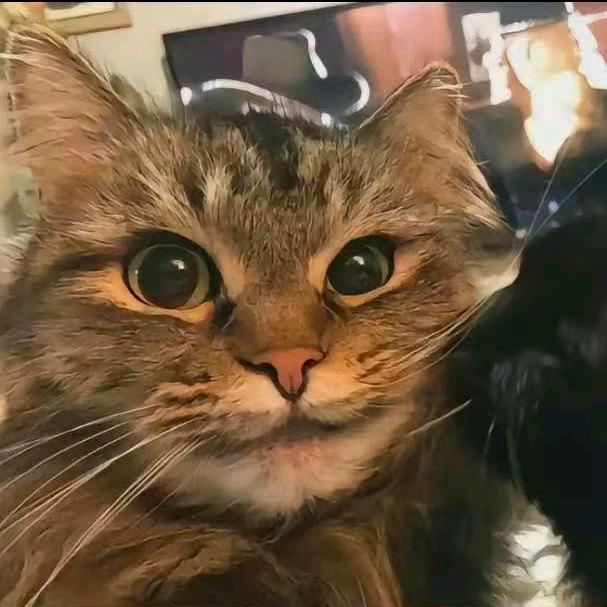 废品回收（旧家电）